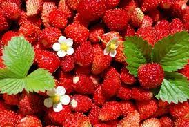 Nutritional values - Strawberries